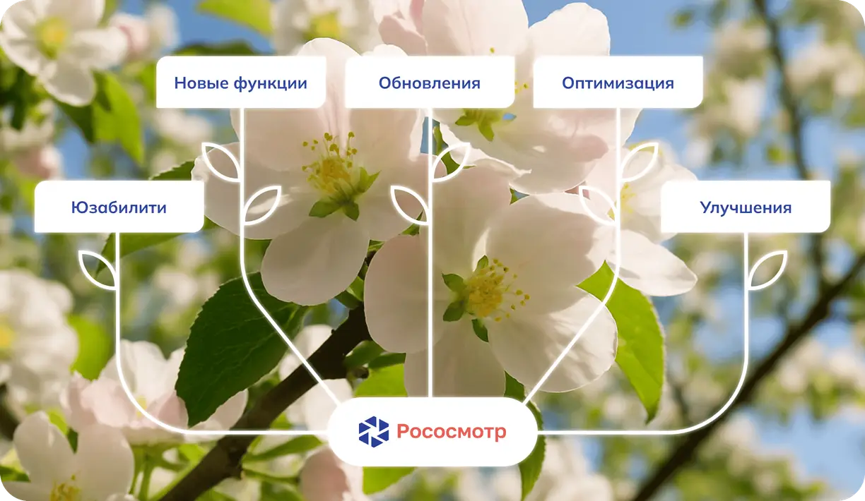 Обзор последних функциональных изменений сервиса Рососмотр