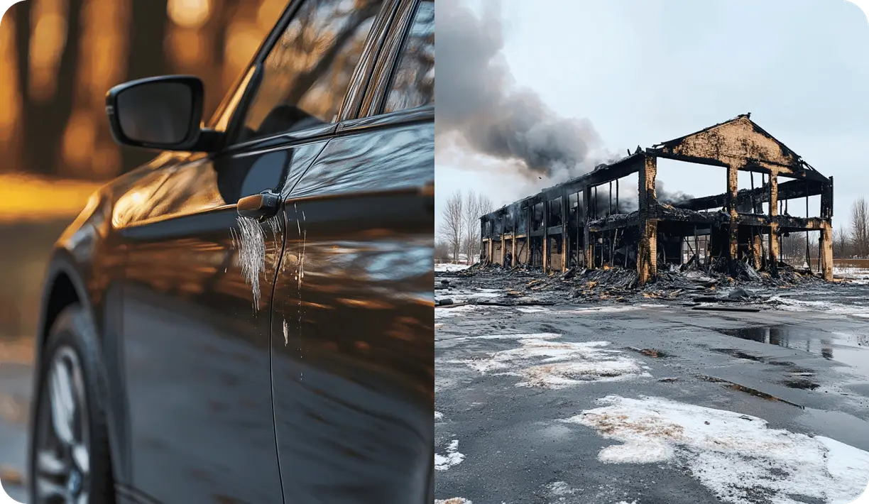 Какие убытки можно осматривать с цифровыми осмотрами Рососмотр?