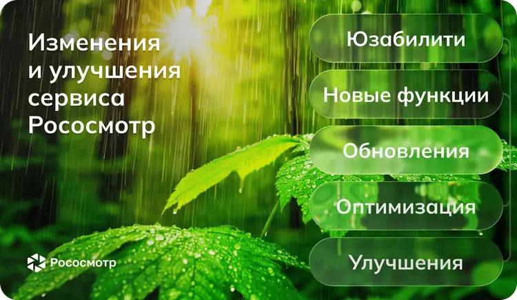 Обновления Рососмотра: новые возможности и улучшения