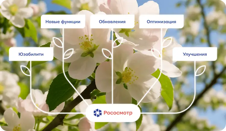 Обзор последних функциональных изменений сервиса Рососмотр