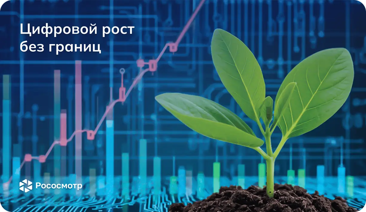 Как Рососмотр влияет на цифровое развитие компаний