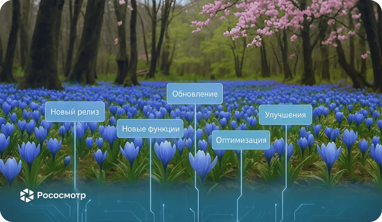 Новые возможности и улучшения в Рососмотр: релиз обновленного Android-приложения