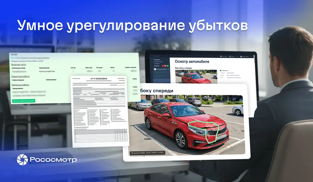 Разметка повреждений с Рососмотром в урегулировании убытков: зачем она нужна страховой компании