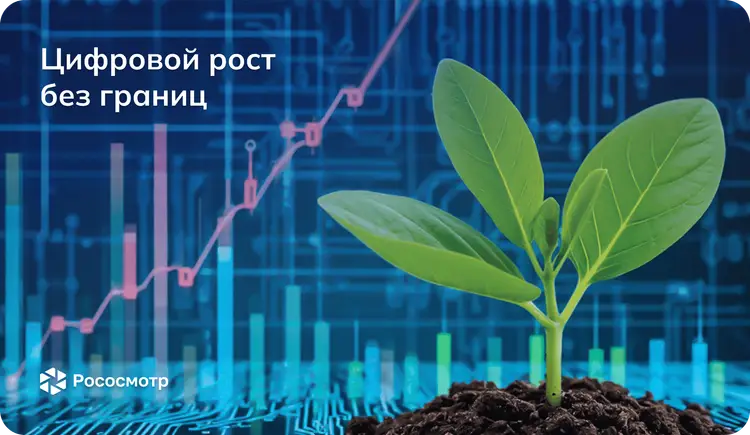 Как Рососмотр влияет на цифровое развитие компаний