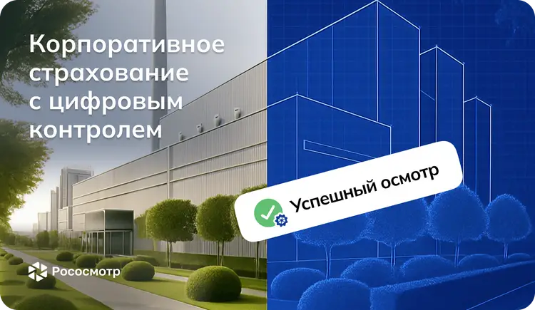 Рососмотр: Как цифровые осмотры усиливают корпоративное страхование