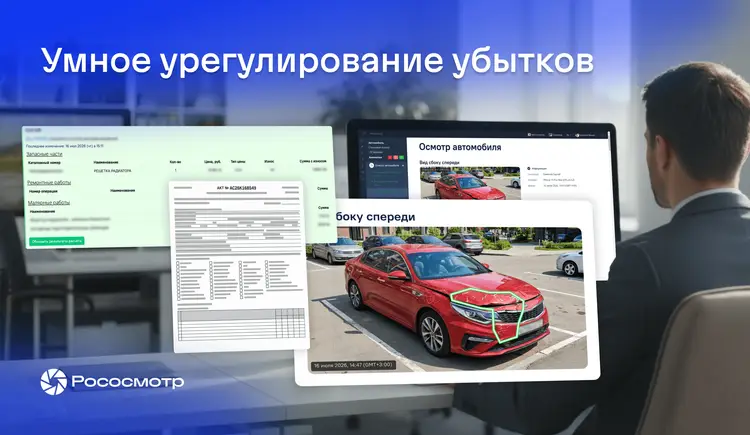 Разметка повреждений с Рососмотром в урегулировании убытков: зачем она нужна страховой компании