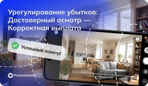 Насколько удобно цифровое дистанционное урегулирование с Рососмотром для страховщиков и их клиентов